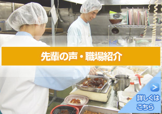 先輩の声・職場紹介